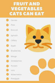 Additionally, eating ice cream can get your kitty in a brain freeze. All Cat Supplies On Sale In 2020 Best Cat Food Cat Food Homemade Cat Food