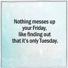 50 Amazing Tuesday Morning Funny Quotes Images We don't often feature funny quotes on wealthy gorilla, but after compiling this list, i'll make an exception.