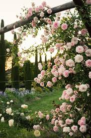 Rosenbogen Im Garten Beautiful Flowers Garden Beautiful Gardens Beautiful Flowers
