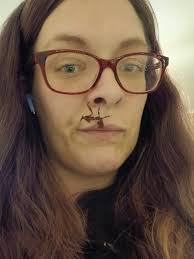 Catching a praying mantis with Reddit tips