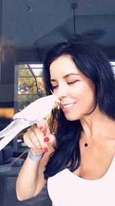 Looking for someone who hand raises birds