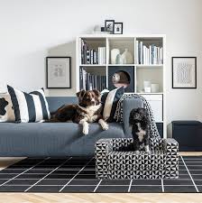 7 Best Couch Material For Dogs And Pets