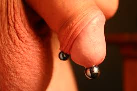 File:Prince Albert piercing with curved barbell.jpg - Wikipedia