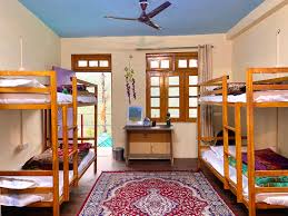 The Bird's Hostel | Mountain-view Rooms 𝗕𝗢𝗢𝗞 Dalhousie Hostel