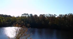 68 benton arkansas rv parks & campgrounds. J B S Rv Park Campground 1 Photos Benton Ar Roverpass
