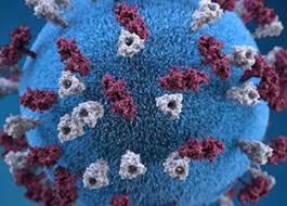 Measles Statistics And Surveillance Cdc