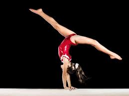 Palestra rovereto, corsi fitness rovereto, balli , arti marziali a rovereto, trento taekwondo rovereto, kickboxing rovererto, trx rovereto, fitboxe, pole dance, tessuti aerei rovereto. Ginnastica Artistica Palestra Seven Sporting Club Ciampino Morena