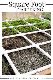 Square foot spacing for growing zucchini vertically. Square Foot Gardening Kellogg Garden Organics