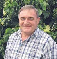 THE TWEED SHIRE BE CAREFUL WHAT YOU WISH FOR SPECIAL HOLIDAY EDITION