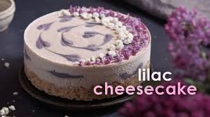 We did not find results for: Lilac Dream Cheesecake Recipe