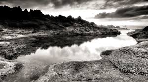 Lion black and white wallpaper hd. Cool White Wallpapers 65 Background Pictures