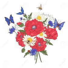 Maybe you would like to learn more about one of these? Summer Vintage Floral Bouquet Greeting Card With Blooming Red Poppies Chamomile Ladybird Daisies Cornflowers Bumblebee Bee And Blue Butterflies Vector Illustration On White Background Royalty Free Cliparts Vectors And Stock Illustration Image