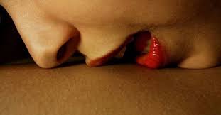 Erkekler Yatakta Ne Ister Reslim Anlatim Erkekler Yatakta Ne Ister