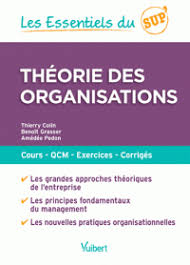 Theorie Des Organisations Thierry Colin Benoit Grasser Amedee Pedon Comptabilite De Gestion Theorie Gestion
