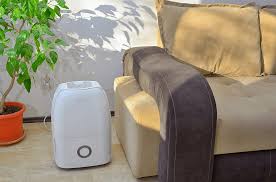 Let us now look at the best dehumidifiers for basements available in the market. Best Dehumidifier Reviews And Ratings Updated February 2021