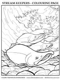 Free coloring page of salmon fish, free printable fish coloring. Stream Keepers Colouring Page Claire Watson