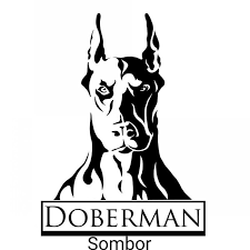 Doberman Sombor European Doberman Home Facebook