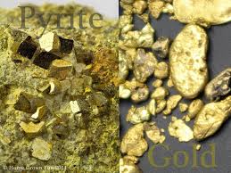 Home Grown Fun Tell The Difference Between Real Gold And Fools Gold Fool S Gold Real Gold Gold Prospecting