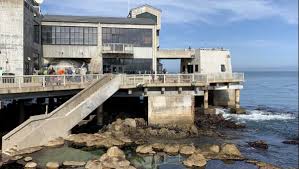 Monterey waterfront & cannery row tours. Monterey Bay Aquarium Says It Will Look Different When It Reopens