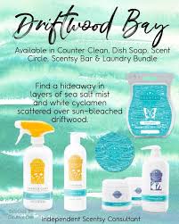 Driftwood Bay Scentsy Scentsy Fragrance Scentsy Wax Bars