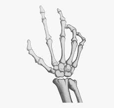 You will need to hand cast bone offering. Legs Clipart Skeleton Leg Drawing Cartoon Skeleton Hand Hd Png Download Kindpng