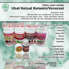 Mengapa perlu tahu cara menanam cabe keriting? Storymapjs Cara Menghilangkan Ketuat Di Wajah Dengan Lidah Buaya Dijamin Sembuh