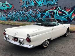 Image result for Snowshoe White 1955 Thunderbird