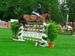 We did not find results for: Pferd Uber Ein Hindernis Springen Fototapete Fototapeten Derby Rodeo Sporn Myloview De