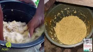 Cara memelihara cacing sutra agar hidup lebih lama (ala ertilu fish farm). Cara Membuat Memberikan Pakan Untuk Cacing Sutra Youtube