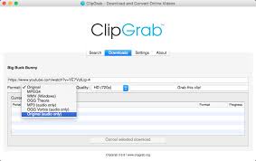 Some phones make editing your videos easier and others have features exclusive to them. Downloading Youtube Videos Clipgrab