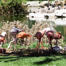 Stretching across almost 100 acres, it is ranked year after year as one of the top tourist sites in israel, attracting over 750,000 visitors. 10 Nature Parks In Jerusalem District That You Shouldn T Miss