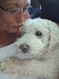 Anybody standing in the way of Corper's 77k God will visit him like he  visited the Military last year and soldiers are now happier