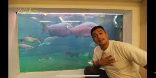 Check spelling or type a new query. Usai Ikan Mati Massal Irfan Hakim Akan Ubah Konsep Mega Tank Merdeka Com