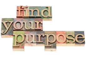 Image result for Determine Your Purpose in Life