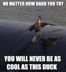 Originally from the donald duck comics, he is donald's eccentric cousin. You Are Pathetic 9gag