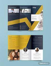 Template Brosur Perguruan Tinggi Templat Brosur Brosur Lipat Tiga Desain Brosur