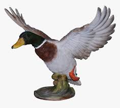 Search for ducks in these categories. Vivid Arts Resin Flying Duck Medium Mallard Hd Png Download Transparent Png Image Pngitem