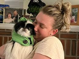 Cheryl Bird: PLAYBOWS AND MEOWS