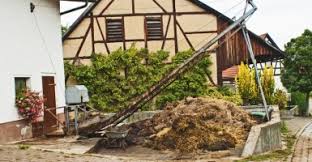 Check spelling or type a new query. Finland Proposes Horse Manure To Heat Homes