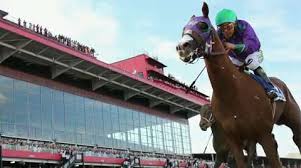 Video Owner Says California Chrome Is Americas Horse