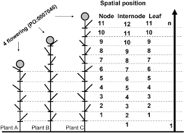 We did not find results for: Corresponding Growth Stages In Different Plants And Advantages Of Using Download Scientific Diagram