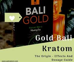 Gold Bali Kratom The Origin Effects And Dosage Guide
