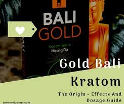 gold bali kratom the origin effects and dosage guide