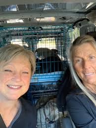 Animal advocates rescue 32 animals in Barnwell County