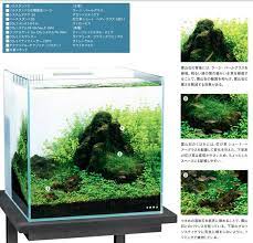aquarium おしゃれまとめの人気アイデア pinterest nao 水槽 レイアウト レイアウト アクアリウム