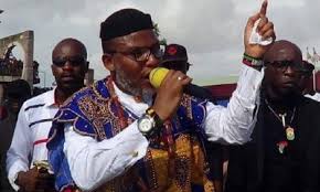 Presidential election, including electoral votes between trump and biden in each state, and who is winning the popular vote. Ipob News Latest News About Ipob On Naija News