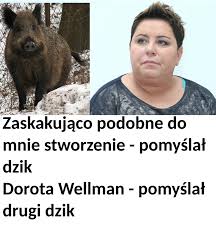 Dorota wellman chciała upokorzyć agatę dudę. Wellman Znaleziska I Wpisy O Wellman W Wykop Pl