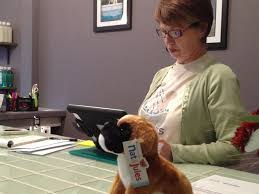 Trustworthy & reliable day care & overnight boarding. Purple Profile Self Serve Dog Wash Comes To Evanston