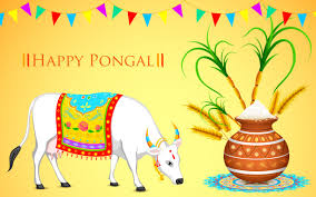 Image result for pongal festival