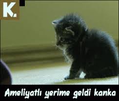 Explore and share the best komik gifs and most popular animated gifs here on giphy. En Komik Gif Capsleri